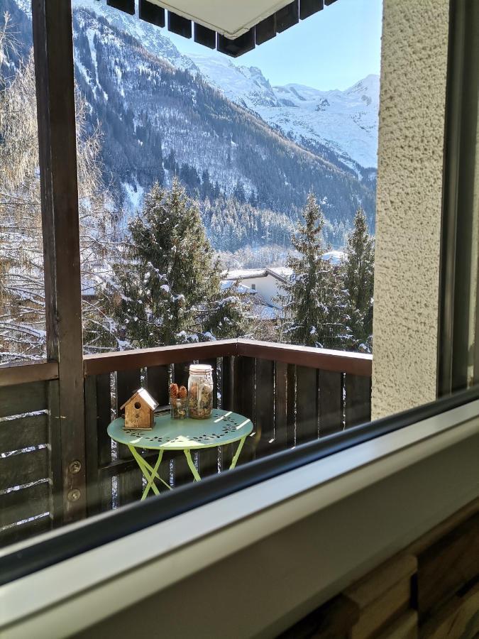 Studio Face Au Mont-Blanc Διαμέρισμα Σαμονί Εξωτερικό φωτογραφία